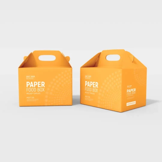 Paper Foodbox